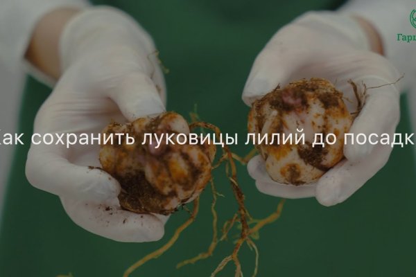 Доступ кракен