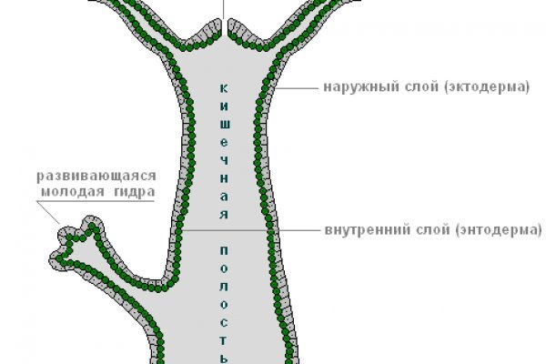 Актуальные ссылки кракен на 2025