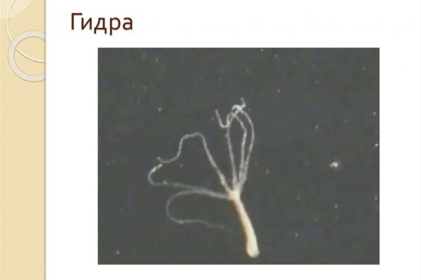 Что случилось с кракеном маркетплейс
