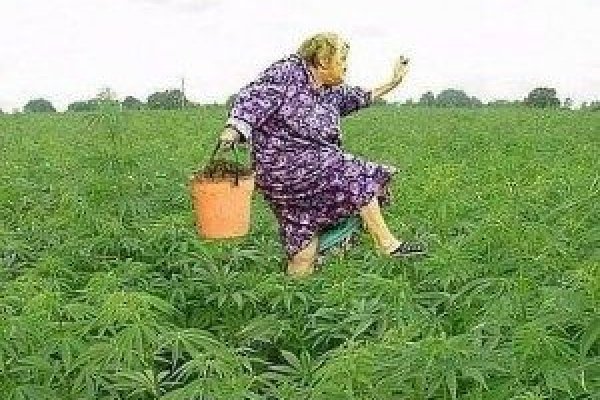 Дарк нет кракен