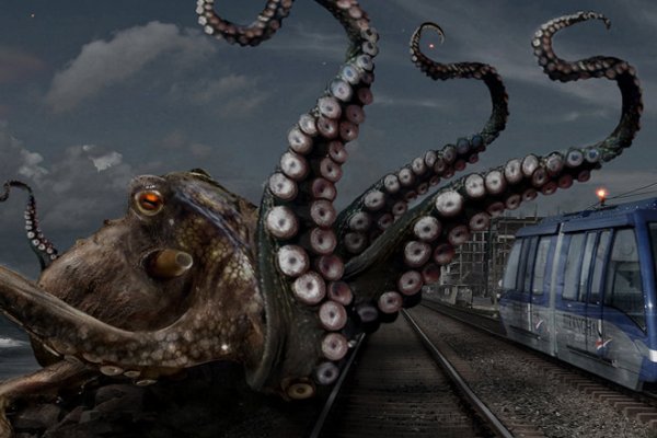 Ссылка для входа на сайт kraken