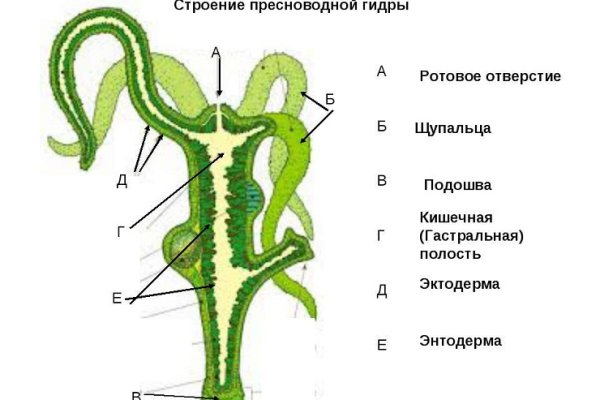Рабочая ссылка на кракен в торе