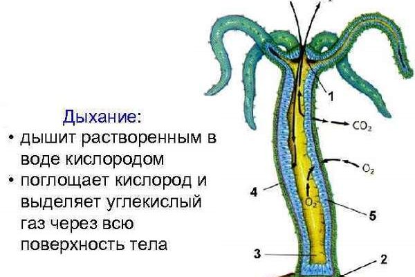 Кракен ссылка официальная в тор