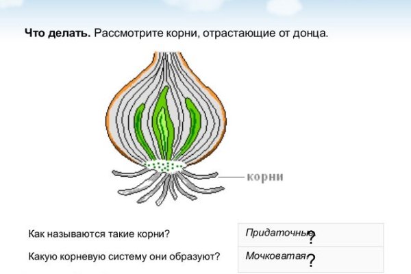 Можно ли восстановить аккаунт в кракен даркнет