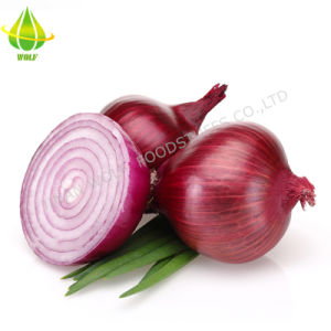 Kraken onion ссылка